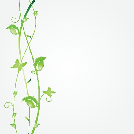 Vintage  frame on floral backgroundのイラスト素材