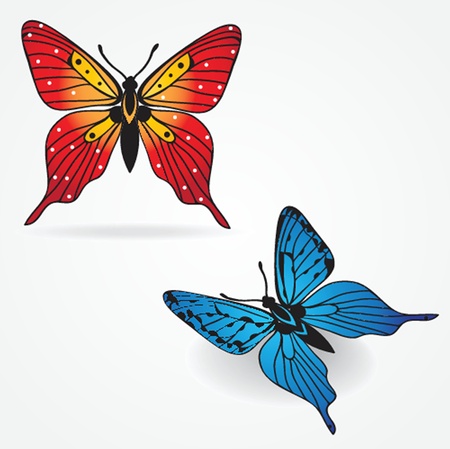 Various  butterflies on  backgroundのイラスト素材