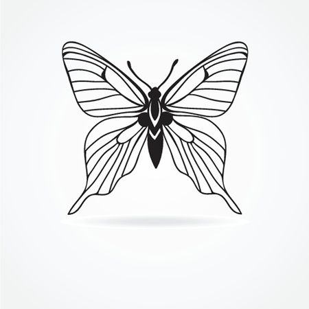 butterfly isolated on white backgroundのイラスト素材