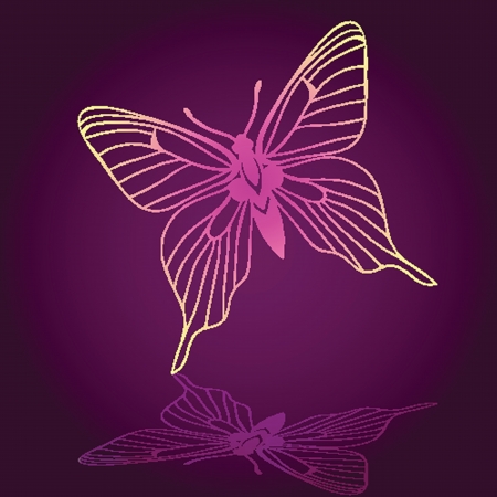 Various  butterflies on  backgroundのイラスト素材