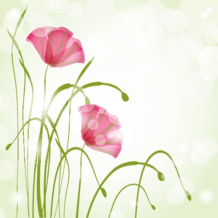 Spring card with beauty poppies のイラスト素材