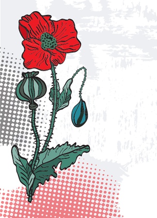 Spring card with beauty poppies のイラスト素材