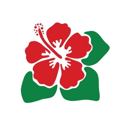 Vector illustration of hibiscus flowerの写真素材