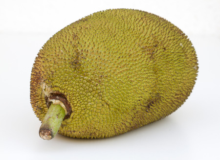 Giant jackfruit of South East Asia India Goa.の写真素材