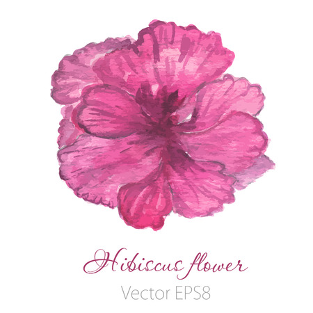 Watercolor painted  vector  hibiscus. Tropical Flower. Violet vector flowerのイラスト素材