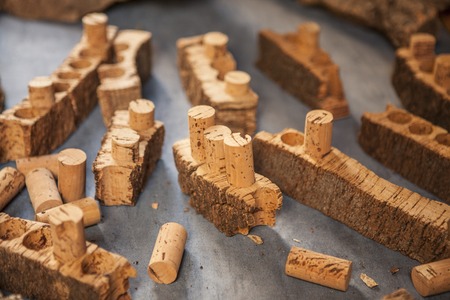 Cork bark and cork for wine.の写真素材