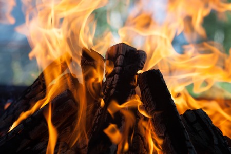 Beautiful fire with flames charred wood.