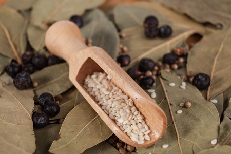 Dry leaves of bay leaf with seeds of black pepper, a nice photo for culinary magazines.の写真素材