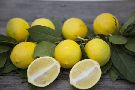Branch of fresh juicy Sicilian lemons on a wooden background.の写真素材