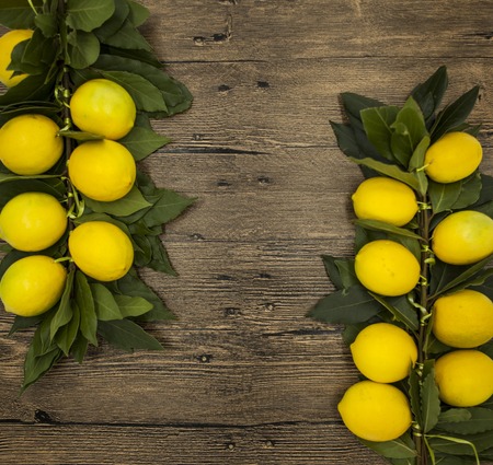 Branch of fresh juicy Sicilian lemons on a wooden background.の写真素材