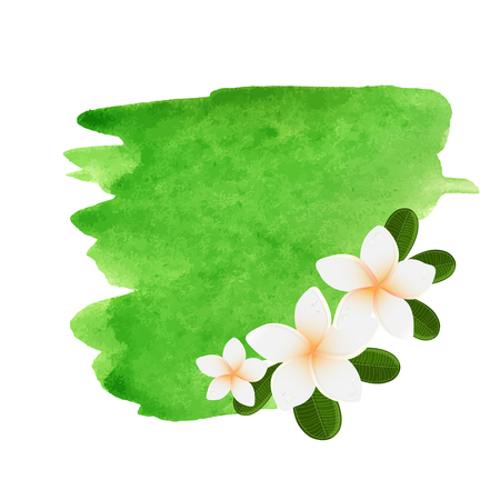White plumeria flower logotype. Vector illustration of white Two Frangipani flowers with green leaves. Spa or beauty center logo.のイラスト素材