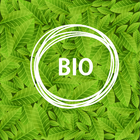 Green leaves background with word BIO in circle frame. Ecological concept. Vector illustration.のイラスト素材