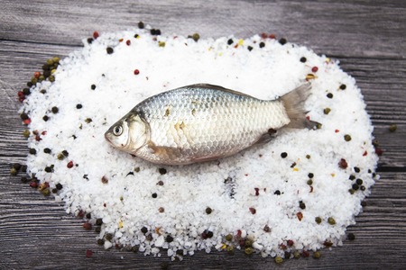 A  fresh carp live fish lying on a on salt and pepper background with slices of lemon and with salt dill. Live fish crucian Carassius auratus gibelioの写真素材