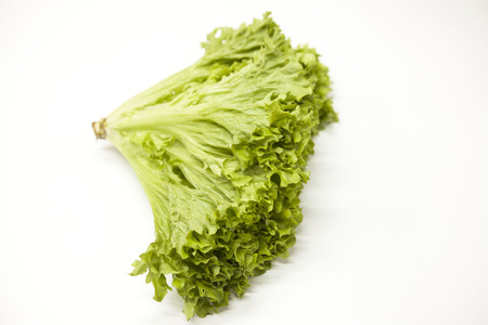 Green fresh bunch of a lettuce on a white background. The best healthy breakfast for the modern personの写真素材