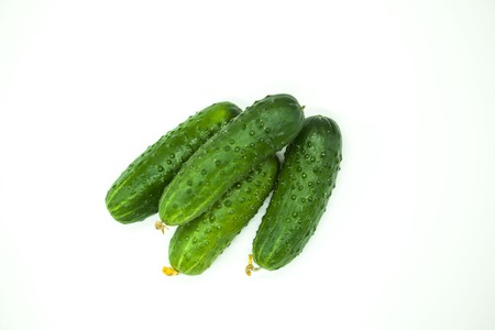 Fresh appetizing tasty cucumbers on a white backgroundの写真素材