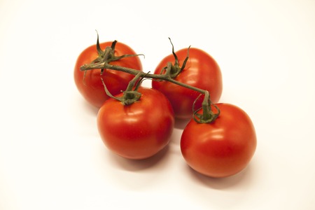 Fresh branch of red Sicilian ripe tomatoes on a white background.の写真素材