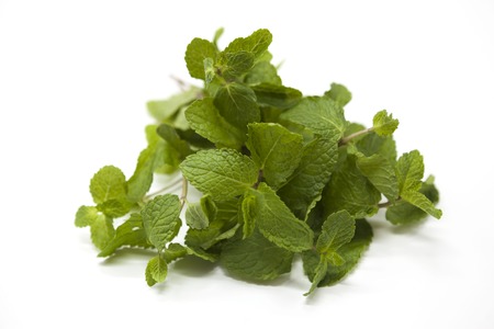 Fresh bright juicy leaves of mint on a white background