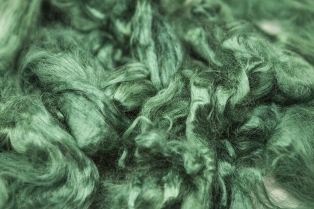 Aquamarine green piece of Australian sheep wool Merino breed close-up on a white background.の写真素材
