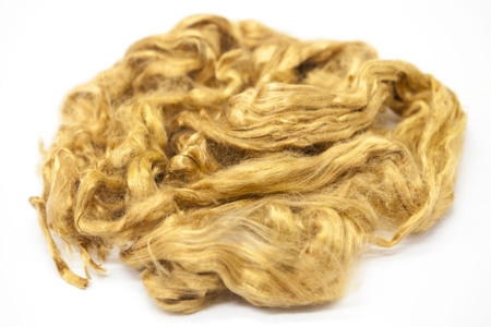 Saffron piece of Australian sheep wool Merino breed close-up on a white background.の写真素材