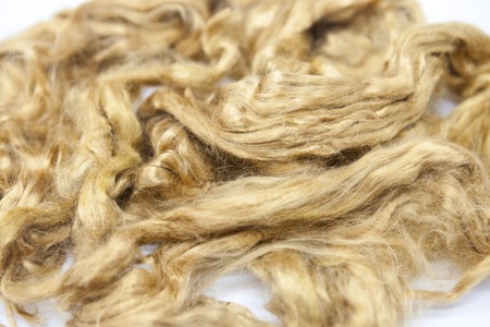 Saffron piece of Australian sheep wool Merino breed close-up on a white background.の写真素材