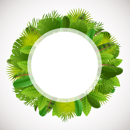 Tropical leaves frame. Floral jungle design background.のイラスト素材