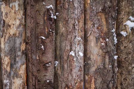 A wooden fence in the winter with snow, close-up.の写真素材