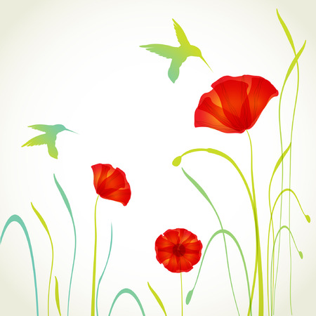 Small hummingbird flying over a field of blooming poppies. Vector illustration for greeting cards, wallpaper, textiles, advertising bannersのイラスト素材