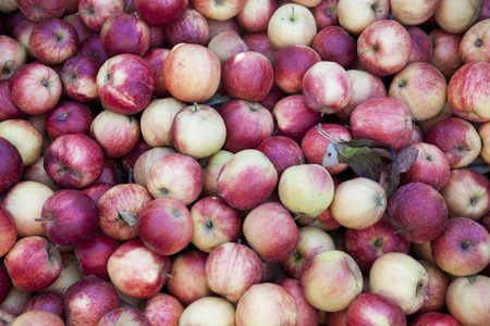 Fresh red apples on the market . Many apples a great backdrop for a fruit store