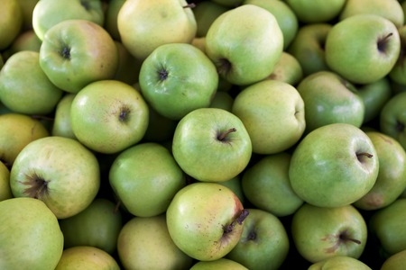 Fresh green apples on the market . Many apples a great backdrop for a fruit storeの写真素材