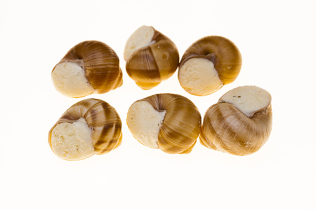 Escargot, escargot shells with butter and spices closeup on white backgroundの写真素材