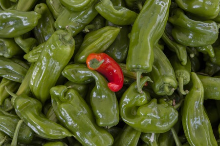 Green hot jalapeno pepper closeupの写真素材