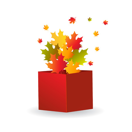 Autumn illustration. Multicolored maple leaves in opened red box. The concept of autumn season. Flat isometric vector illustration, isolated on white backgroundのイラスト素材