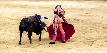 The battle of the bull and man.The enraged bull attacks the bullfighter Spain 2017 07.25.2017. Vinaros Monumental Corrida de toros. Spanish bullfight.のeditorial素材