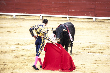 Spanish bullfight. .The enraged bull attacks the bullfighter. Spain Monumental Corrida de torosの写真素材