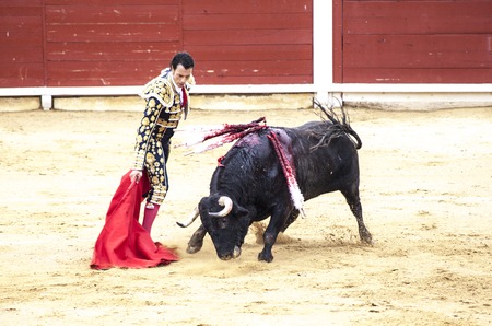 The last battle of the bull. The fight of a bull and bullfighter. Spanish bullfight. .The enraged bull attacks the bullfighter. Spain Monumental Corrida de torosのeditorial素材