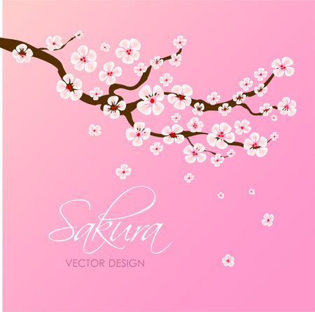Japanese or chinese sakura. Lush the branch of pink sakura blossom on light pink background. Vector illustrationのイラスト素材