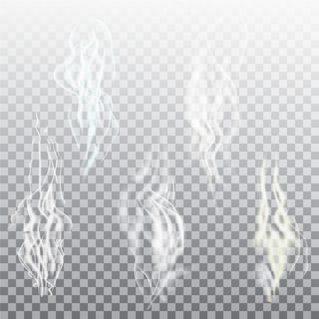 Realistic smoke set isolated on transparent background. Vector cigarettes smoke set.のイラスト素材