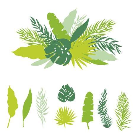 Tropical Banner From Green Palm Leaves Isolated On White