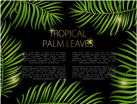 Palm leaf vector background. Green leaves on black background with place for your textのイラスト素材