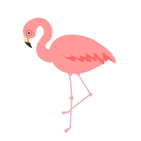Vector illustration of cute cartoon flamingo on white background. Can be used for sticker, poster, card, bag, t-shirt design, birthday cards and summer party invitationsのイラスト素材
