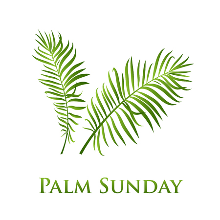 Palm leafs vector icon. Vector illustration  for the Christian holiday Palm Sundayのイラスト素材