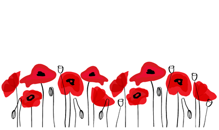 Wild red poppies illustration. Isolated flowers on white background.のイラスト素材