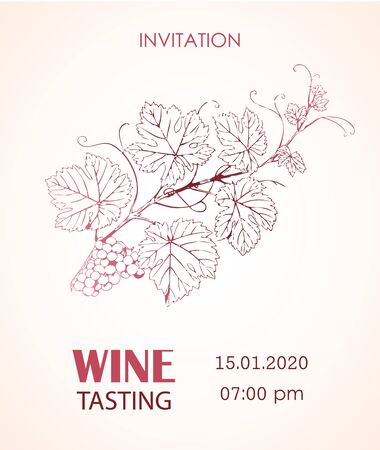 Wine. Bunch of grapes for labels of wine. Vintage labelsのイラスト素材