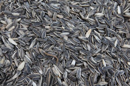 Large sunflower seeds close-up, on the market in Asia.の写真素材