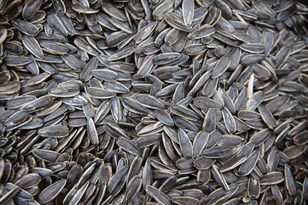 Large sunflower seeds close-up, on the market in Asia.の写真素材