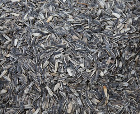 Large sunflower seeds close-up, on the market in Asia.の写真素材