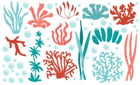 Set of underwater color coral icons. Reef nature marine, aquatic vector illustrationのイラスト素材