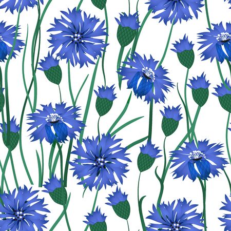 Seamless vector pattern with watercolor cornflowers. Hand drawn ornament with blue wildflower. Perfect for greetings, invitations, manufacture wrapping paper, textile, web design.のイラスト素材