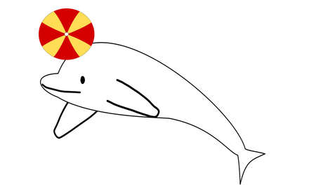 Beluga whale playing with a ballのイラスト素材