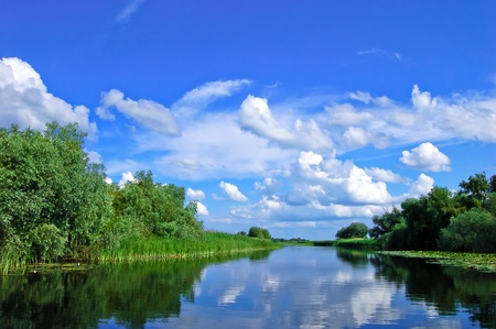 A watter channel in the Danube Delta